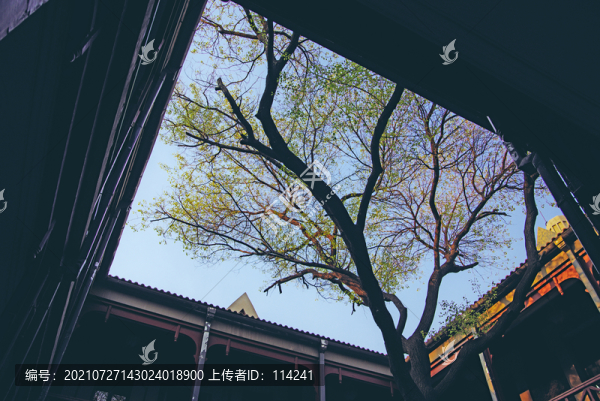 長(zhǎng)春偽滿(mǎn)洲皇宮博物院