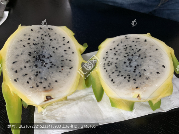 火龍果種植基地