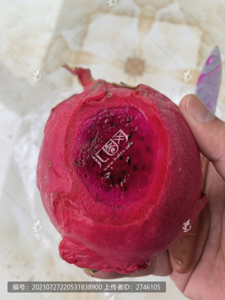 果實蠅危害