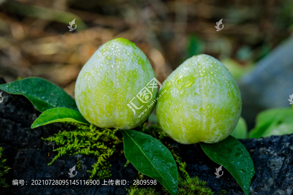 奈李