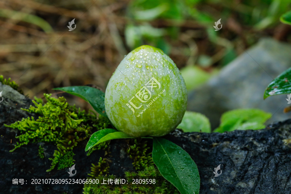 奈李
