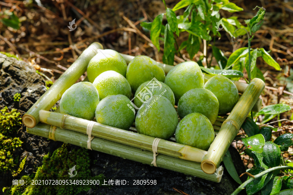 奈李