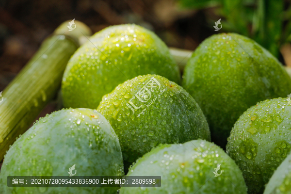 奈李