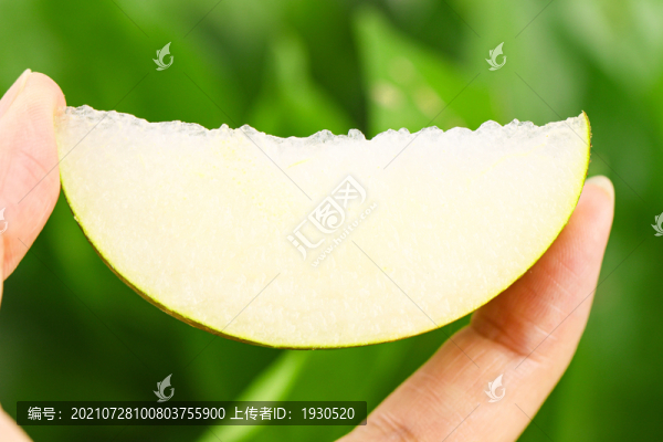 蜜梨