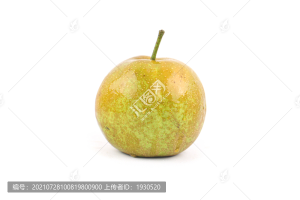 上海蜜梨