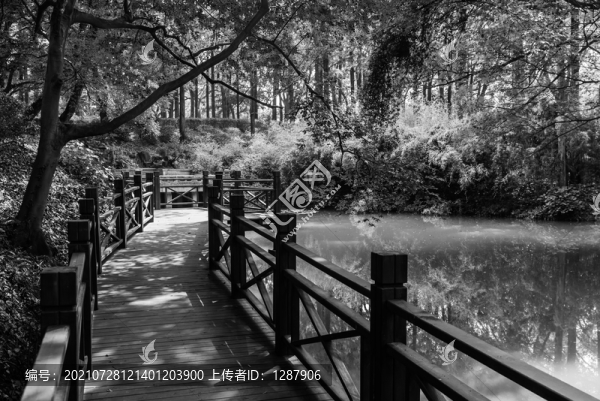 木棧道