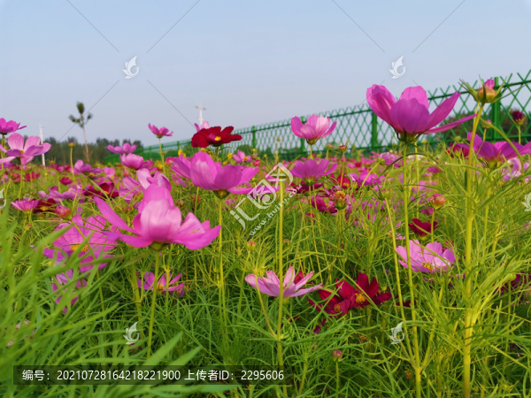 格?；? title=
