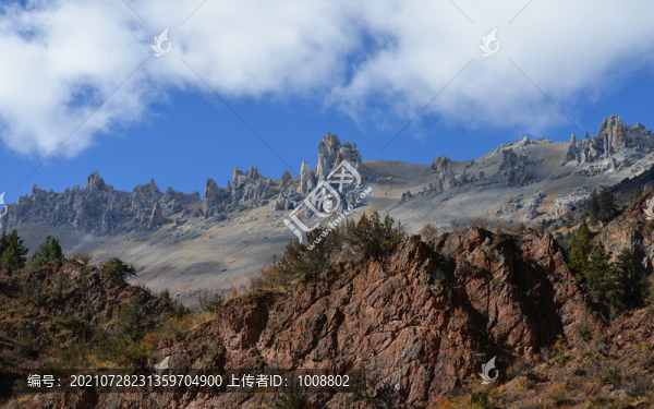 石山石林