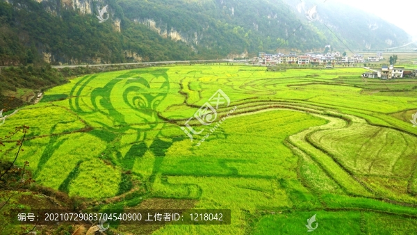 巴馬長(zhǎng)壽村