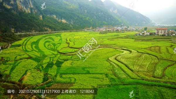 巴馬長(zhǎng)壽村