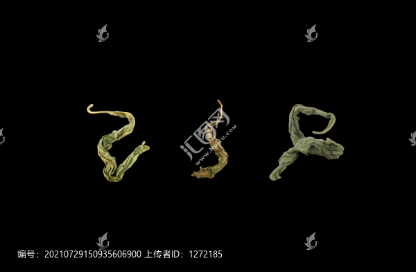 丁香茶丁香葉