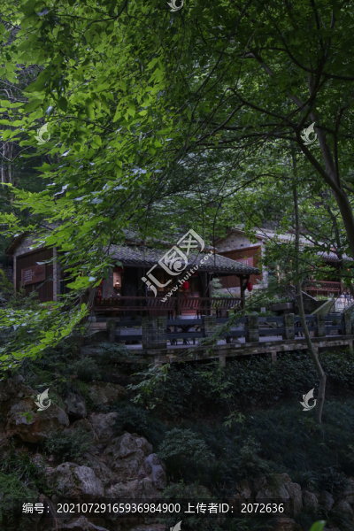 樹林