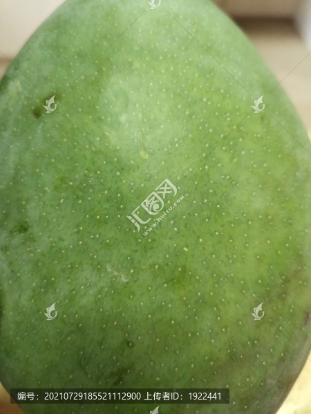凱特大芒果皮花紋特寫