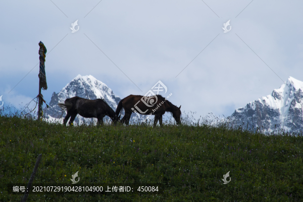 雪山腳下