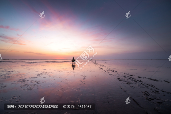 趕海
