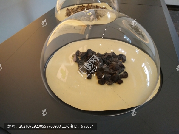 玻璃罩