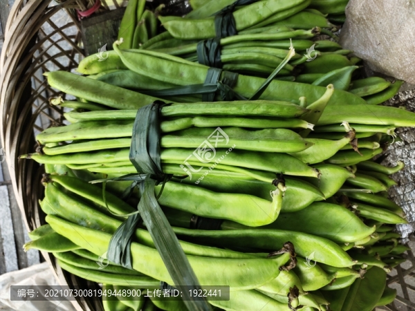 豆類蔬菜