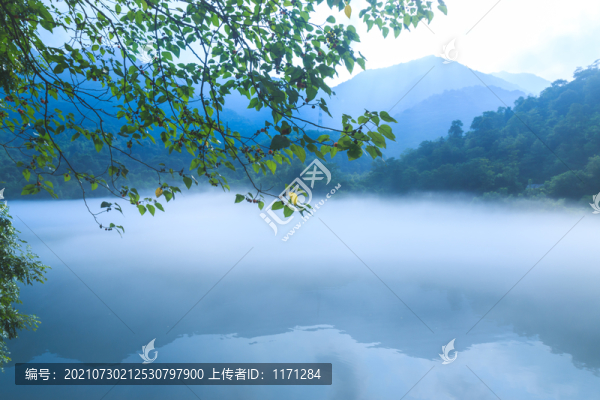 霧漫小東江