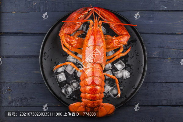 龍蝦