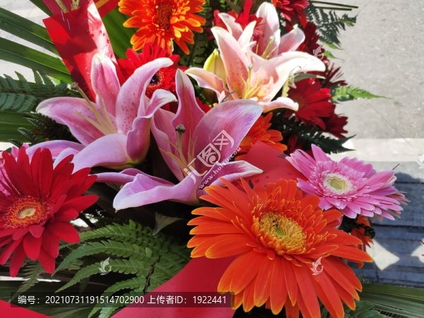 百合花