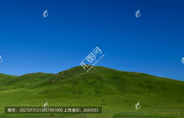 2021年夏天甘南大草原風(fēng)光
