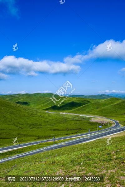 2021年夏天甘南大草原風光