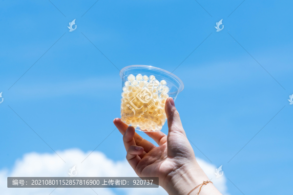 脆珍珠