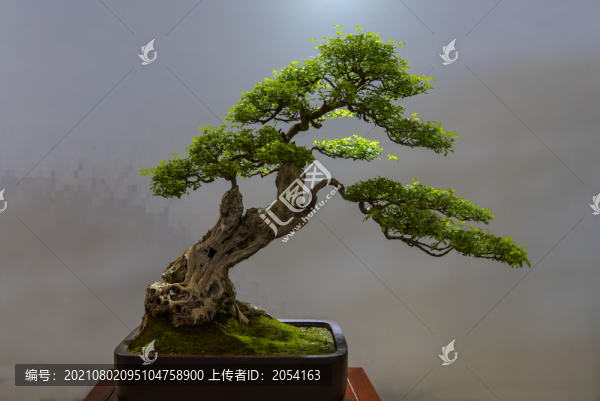 插花藝術(shù)