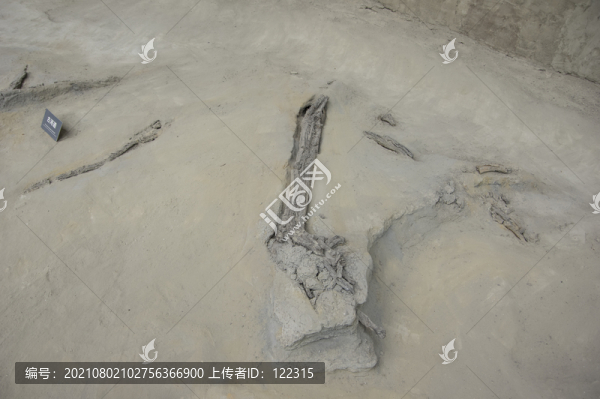 遺址發(fā)掘坑