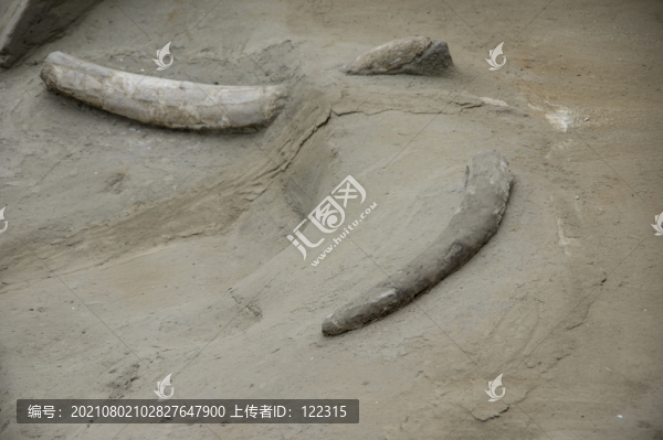 遺址發(fā)掘坑