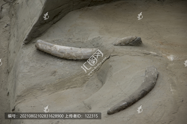 金沙遺址發(fā)掘坑