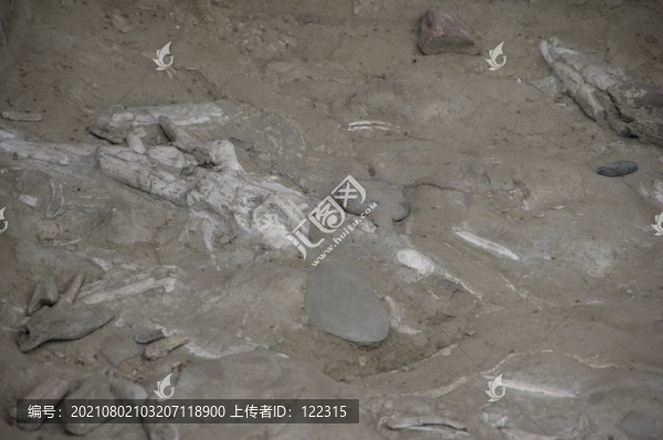 金沙遺址