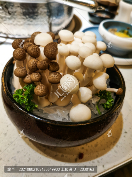 新鮮蘑菇
