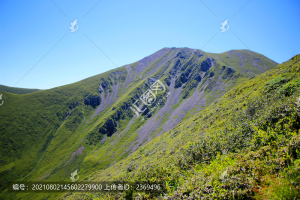太子山自然景觀