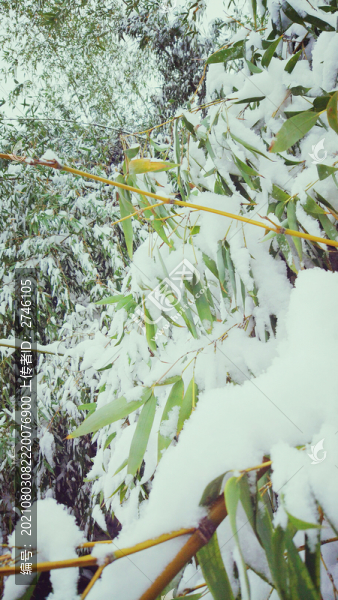 大雪