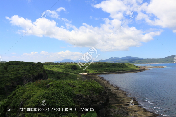 貓鼻頭