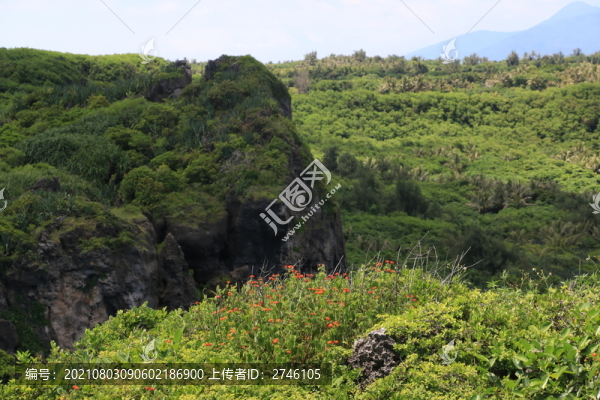 貓鼻頭