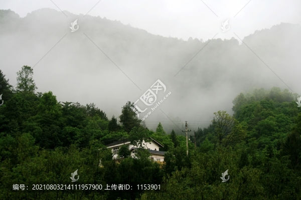 晨霧