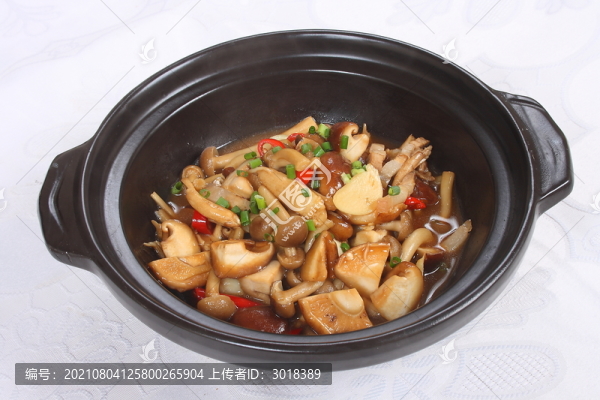 雜菌煲