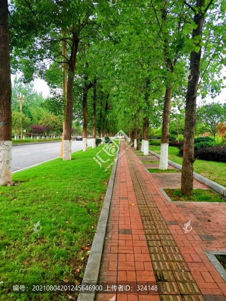 林蔭大道