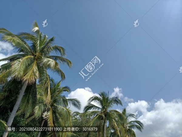 浪漫海南