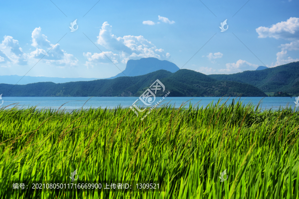 瀘沽湖