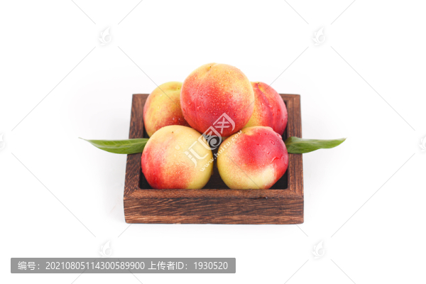 珍珠棗桃