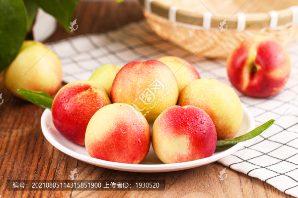 珍珠棗桃
