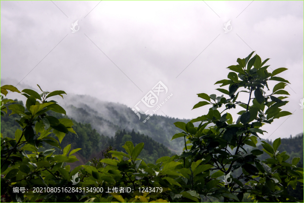 雨霧山