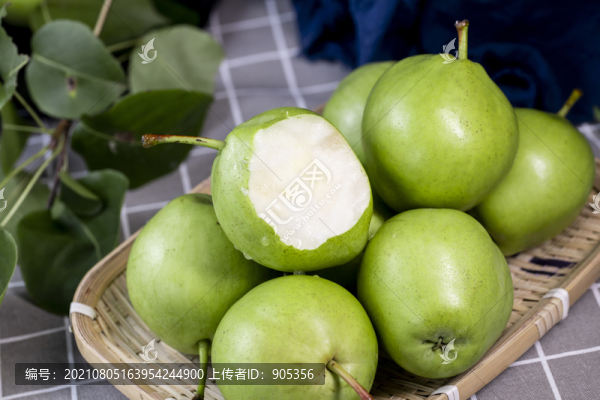 陜西早酥梨