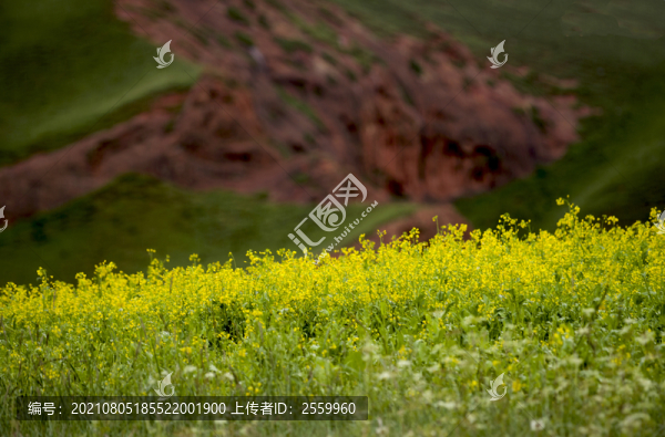 痳拉河山谷的風景