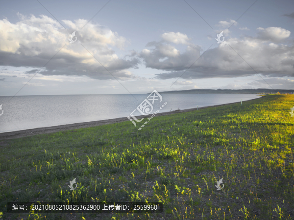 青海湖