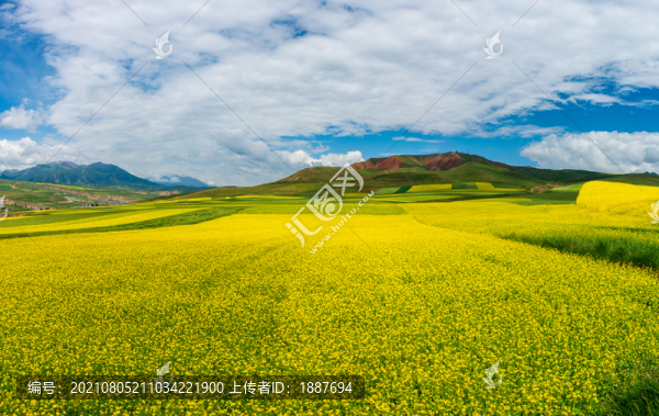 青海卓爾山