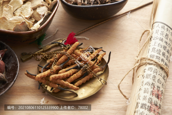 冬蟲(chóng)夏草